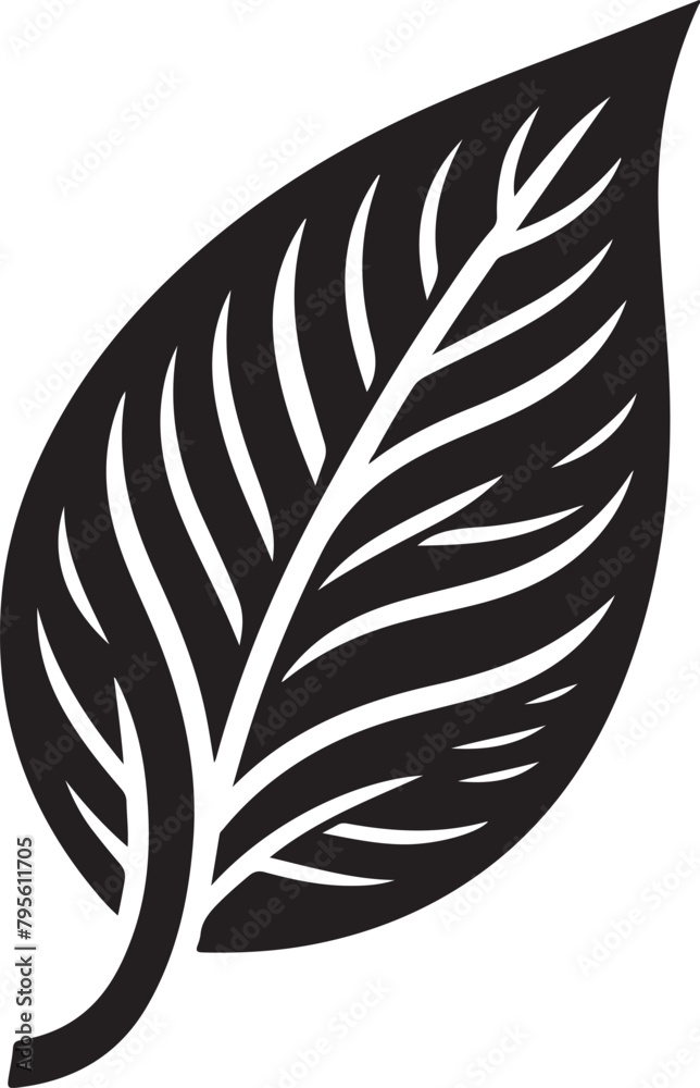 Obraz premium black and white feather