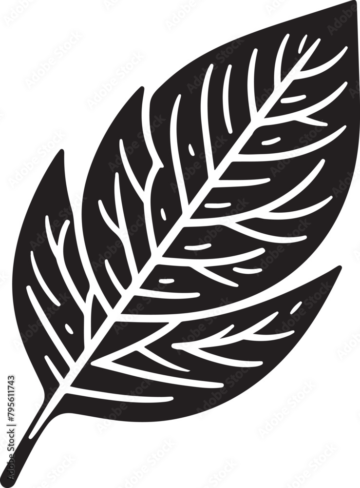 Fototapeta premium black and white feather
