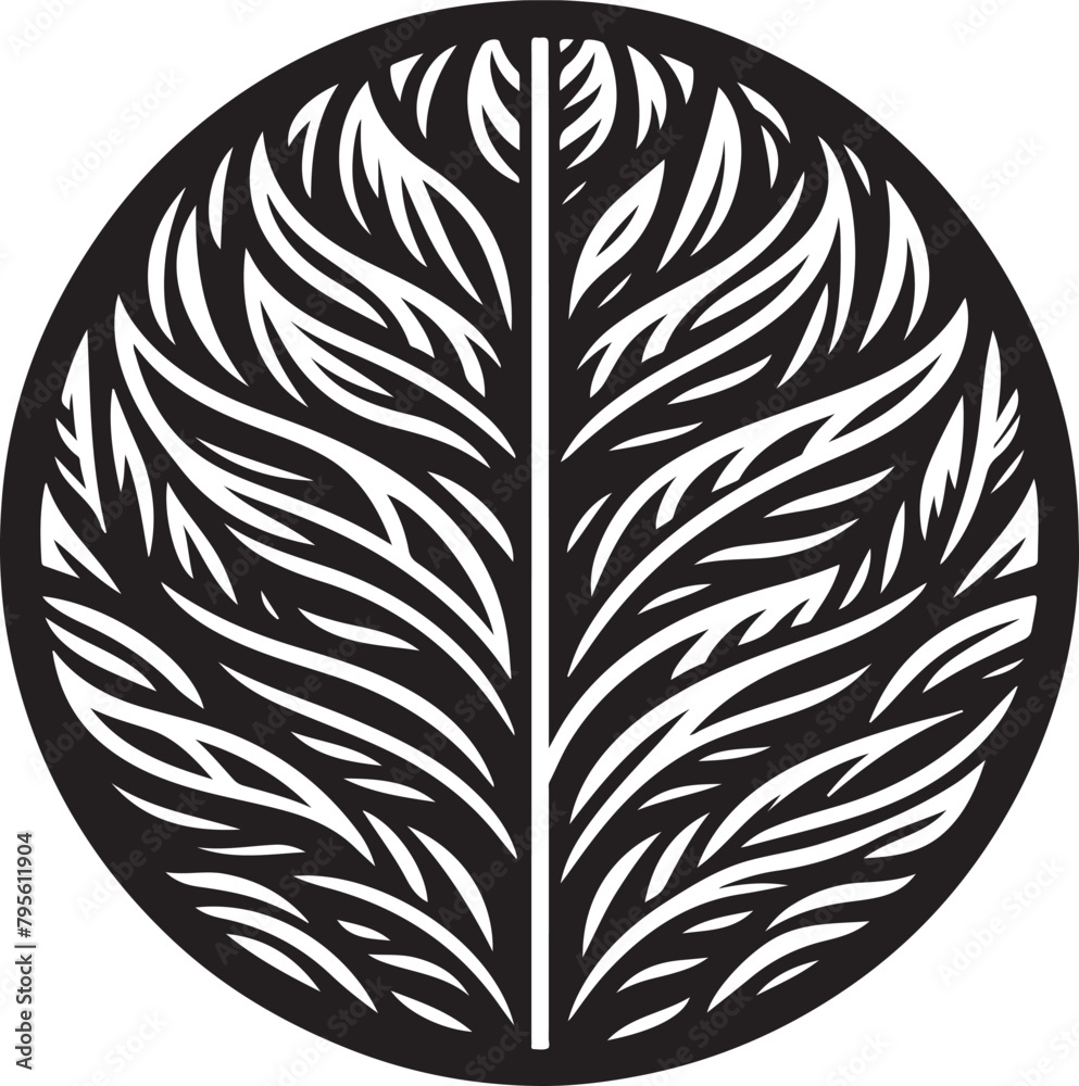 Obraz premium black and white feather