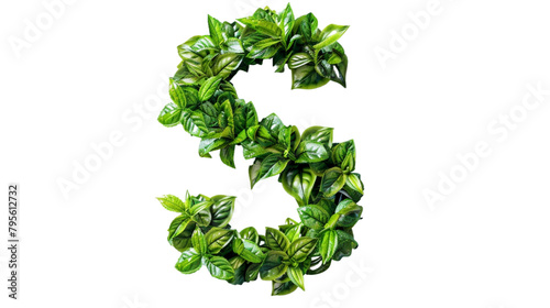 The letter S of the English alphabet from the leaves of green plants isolated on white background PNG