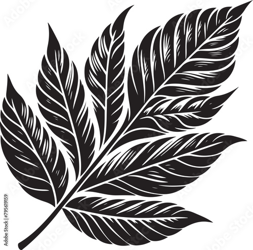 black and white feather