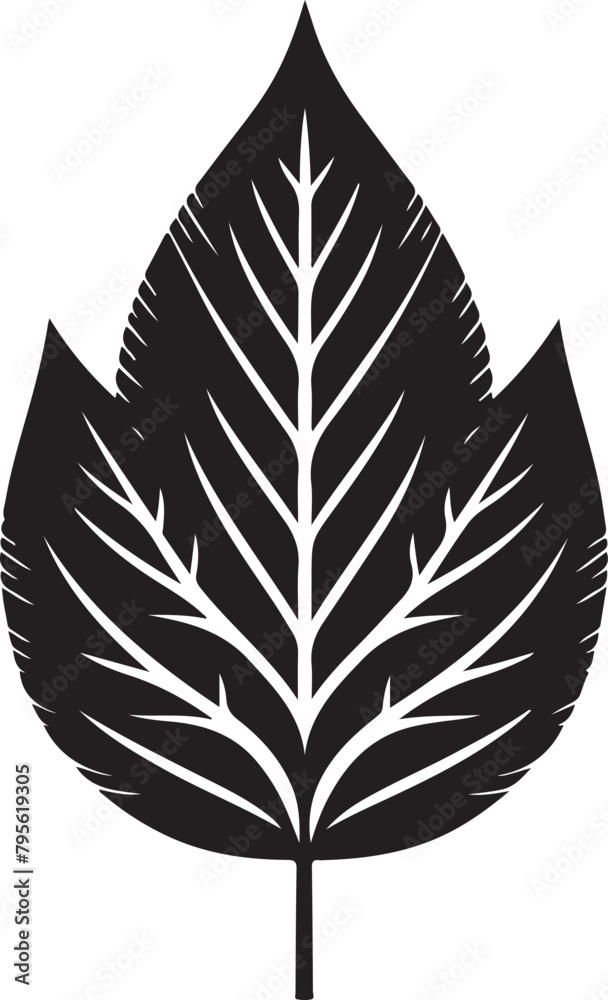 black and white feather black and white feather