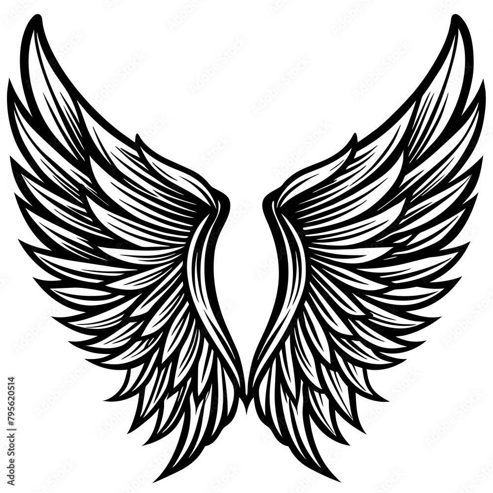 Obraz premium eagle with wings