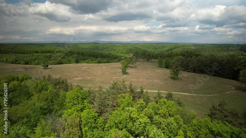 Wallpaper Mural Aerial view of a forest in Dealu Negru Romania Torontodigital.ca