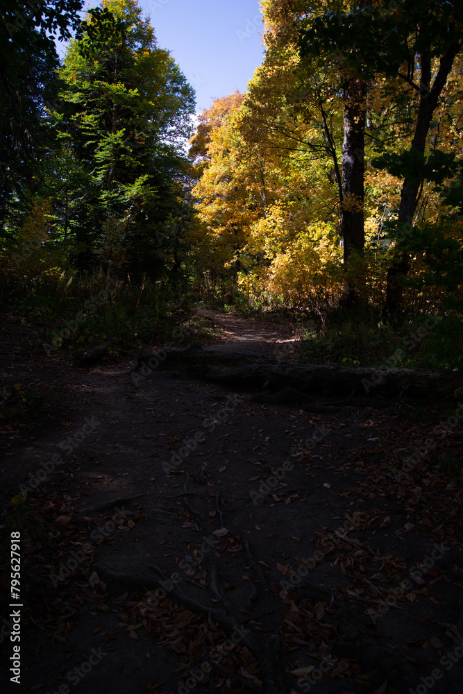 Autumn landscape in a mountain forest. Autumn landscape in a mountain forest.