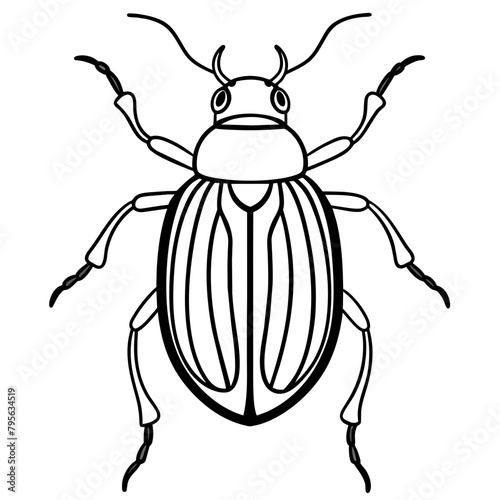 illustration of a beetle