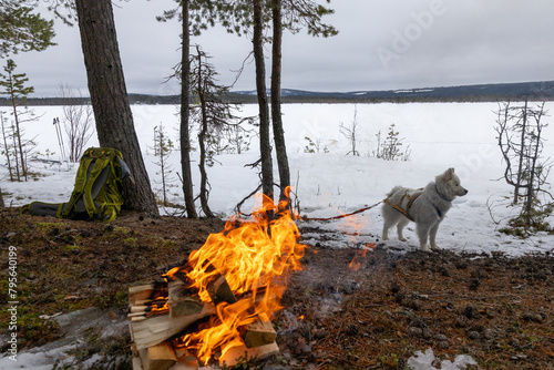 Campfire with backpack and dog at a frozen lake in north sweden