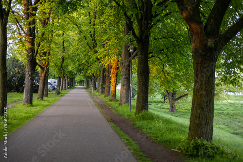 alley near rhine river in cologne
