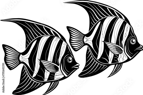 Set of Angel fish vector silhouette an white background 