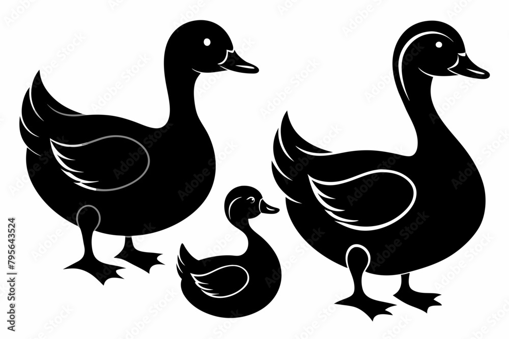 Set of black silhouette duck's vector illustration With on white background Set of black silhouette duck's vector illustration With on white background