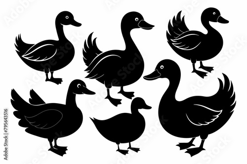 Set of black silhouette duck's vector illustration With on white background