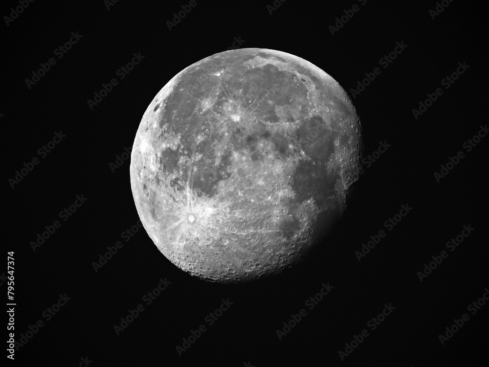 moon moon