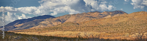 Desert, landscape and nature with plants, clouds and sunshine with summer, weather and adventure. Empty, flowers and wildlife with dust, field and weed with cactus, mountain and rocky with vacation © peopleimages.com