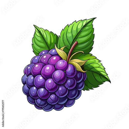 Blackberry fruit berry summer cartoon style on white background