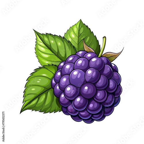 Blackberry fruit berry summer cartoon style on white background