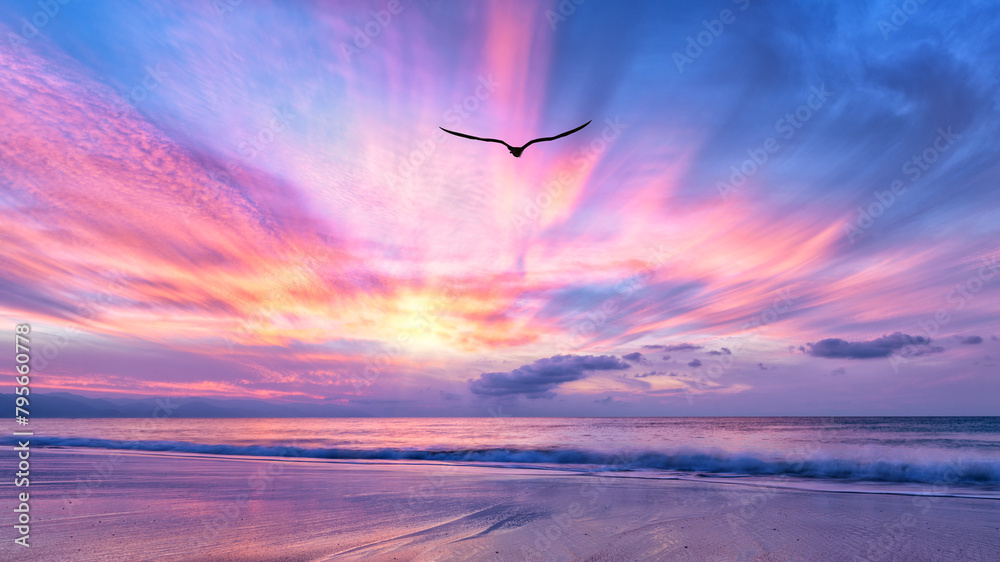 Fotografie Bird Flying Ocean Beach Sunrise Freedom Inspiration Divine Hope Beautiful Faith