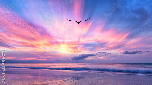 Photography Bird Flying Ocean Beach Sunrise Freedom Inspiration Divine Hope Beautiful Faith