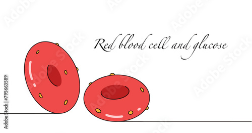 Red blood cell and glucose