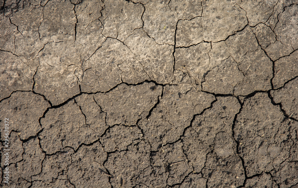 Fototapeta premium cracked soil background