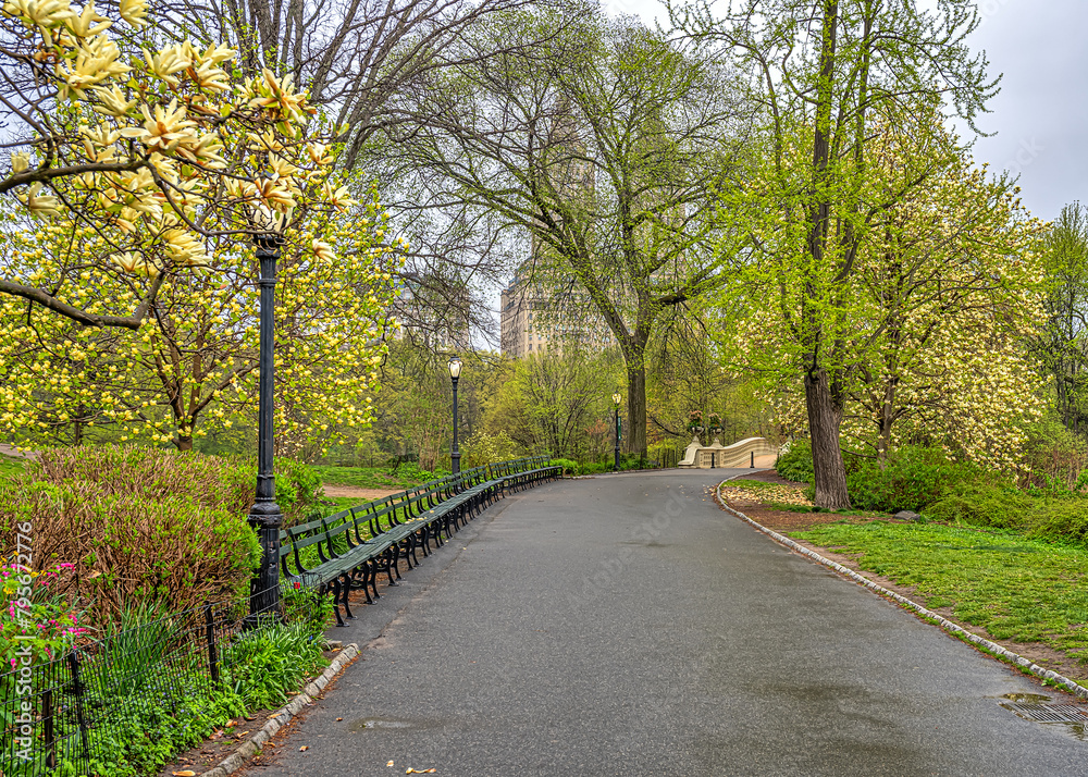 Bow bridge after morning rain in spring Bow bridge after morning rain in spring