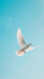 A white pigeon soars gracefully through the blue sky. Generative AI