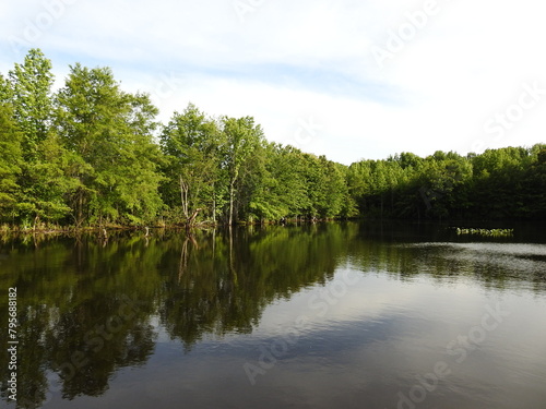 The beautiful spring scenery of a wetland pond within the Bombay Hook National Wildlife Refuge, Kent County, Delaware. Natural reflections upon calm water. 
