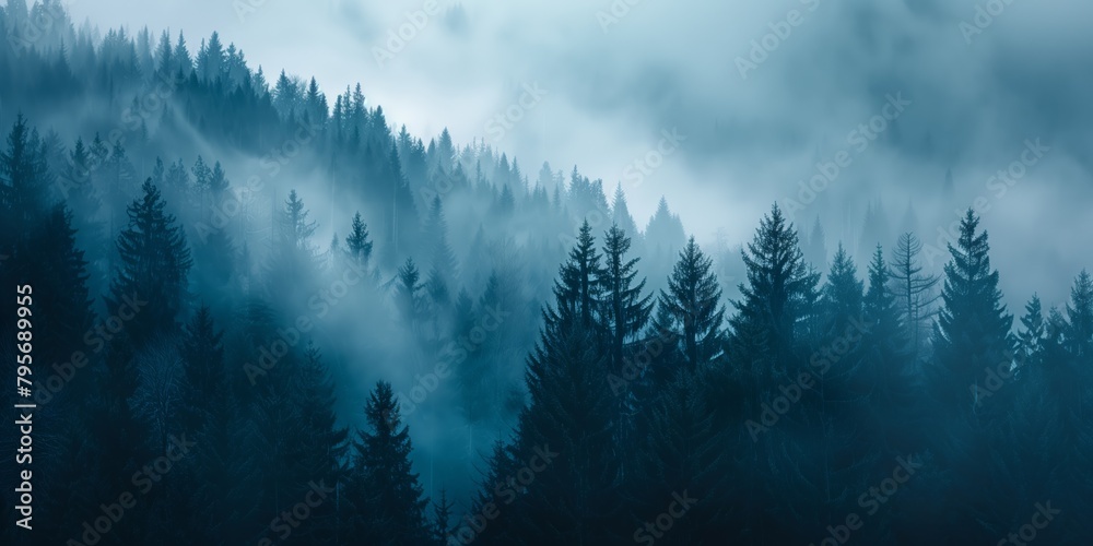 Misty forest with pine trees in monochromatic blue tones. Nature and ...