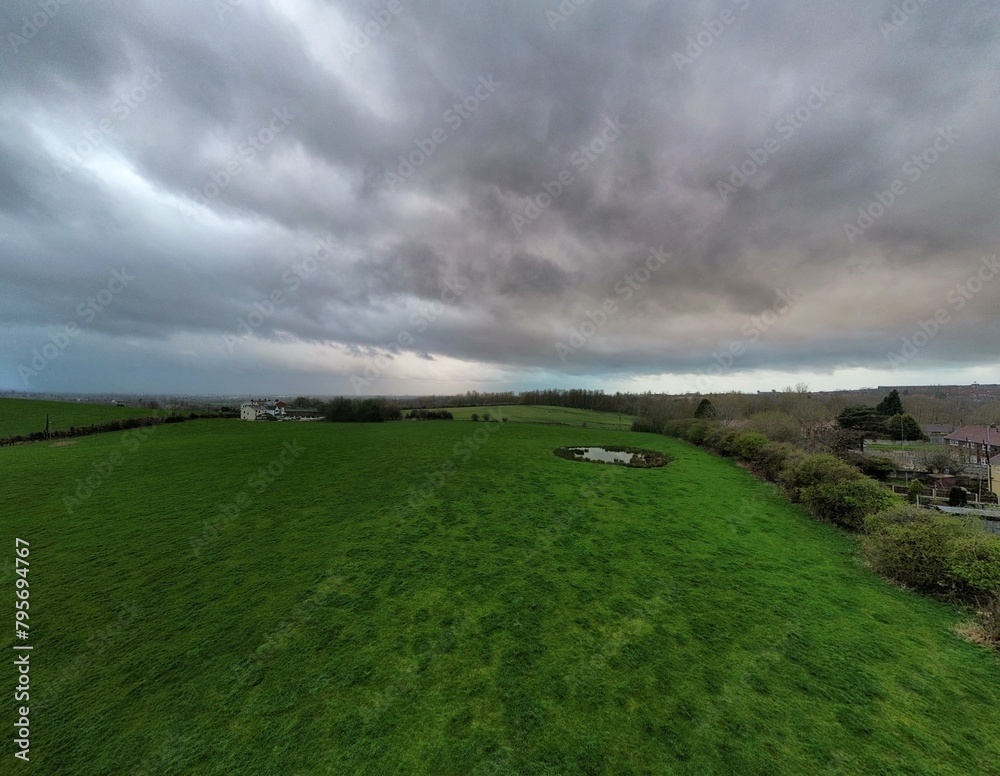 Obraz premium Pond life