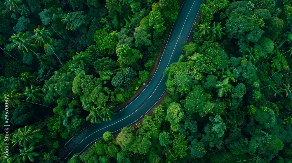 aerial view of beautiful winding highway road through dense green forest. ai generative