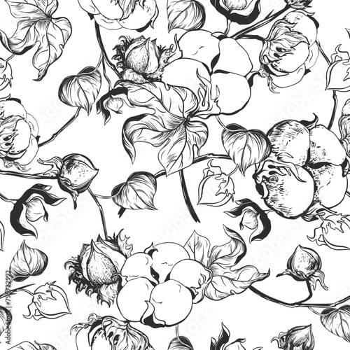 Vector, seamless, black and white pattern of cotton flowers. Botanical illustration using engraving technique. Cotton branches with leaves are drawn with ink. Illustration suitable for fabric, textile