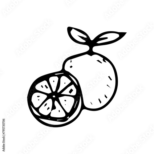 Hand drawn exotic fruit doodles. Cute tropical food sketch, summer fresh organic ingredients vector illustration