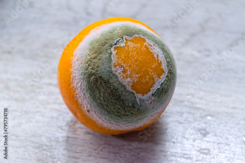 Damage to an orange by mold spores, rotten orange.