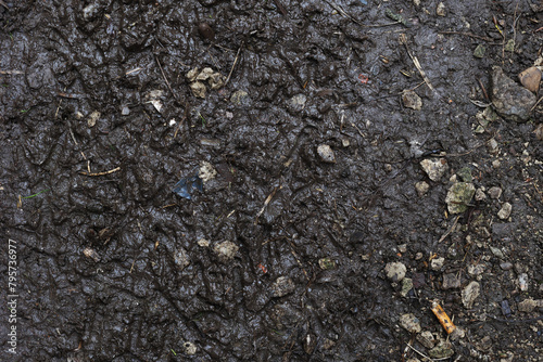 Top view, ground texture. Background of natural soil. Wet soil, unsown soil. Black soil texture. High quality photo photo