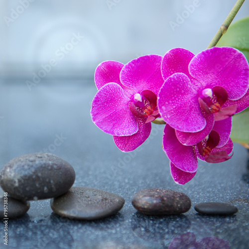 Pink orchid flowers and black spa stones on the gray table background. © Swetlana Wall