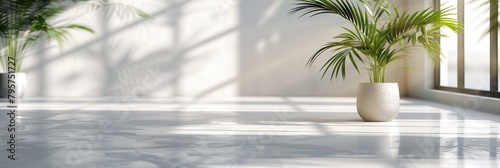 a plant in a white vase on a white floor in a room with a window