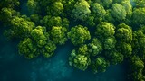 Aerial perspective of lush green forest with carbon-neutral trees sequestering CO. Concept Nature Conservation, Carbon Sequestration, Aerial Photography, Green Forests, Sustainable Ecosystems