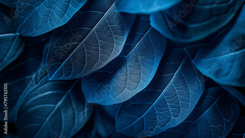 Blue Botanical Leaf Texture in Close-Up Detail