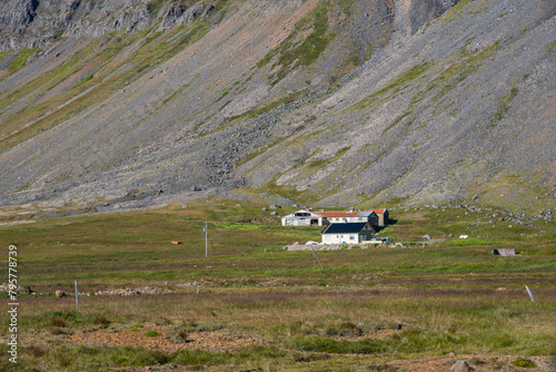 Old farm near Raudisandur in the westfjords of Iceland photo