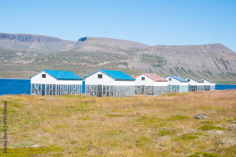 fish drying shack near village of Thingeyri in the westfjords of Iceland