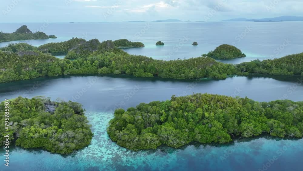 Early morning light illuminates the beautiful limestone islands of Pef in Raja Ampat, Indonesia. This remote, tropical region is known to harbor the world's greatest marine biodiversity. Early morning light illuminates the beautiful limestone islands of Pef in Raja Ampat, Indonesia. This remote, tropical region is known to harbor the world's greatest marine biodiversity.