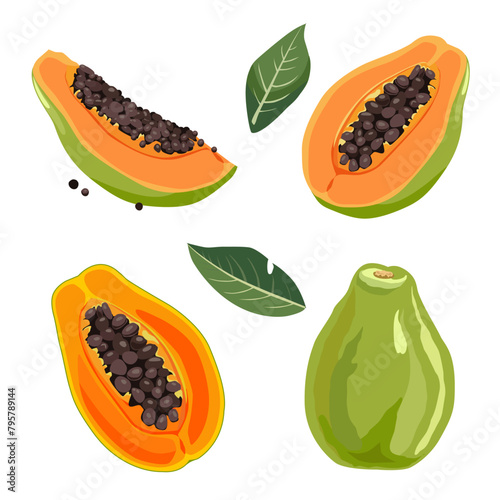 Set of yellow green papaya and slices. Isolated vector summer fruit for flat design