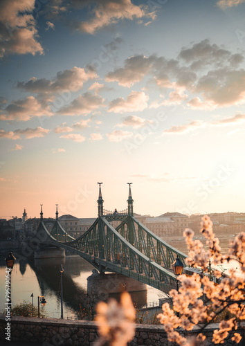 Beautiful Liberty Bridge wi...