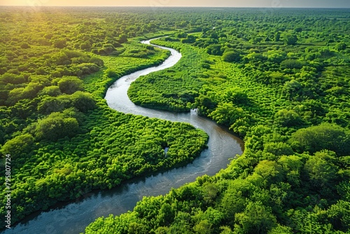A river with a green forest on both sides. The river is wide and long. The trees are lush and green