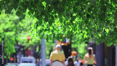 NEW YORK, NEW YORK - USA MAY 8: People and traffic move beyond swaying fresh green trees along street in West Village during Springtime in New York City on May 8, 2023.