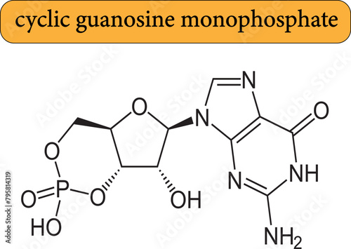 Slika na platnu Structure of cyclic guanosine monophosphate