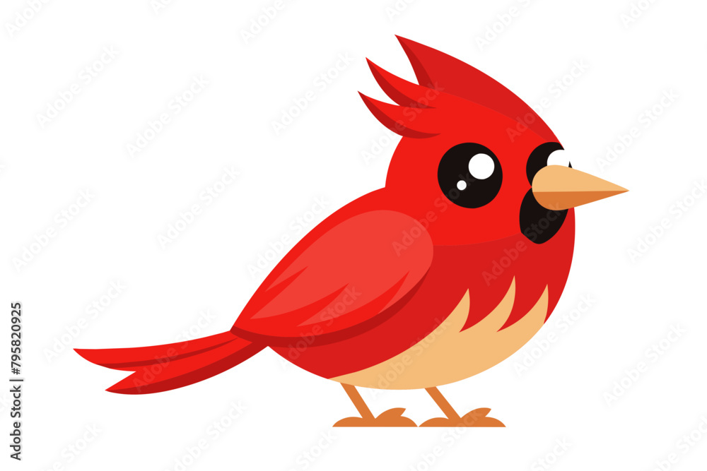  cardinal bird cartoon vector illustration