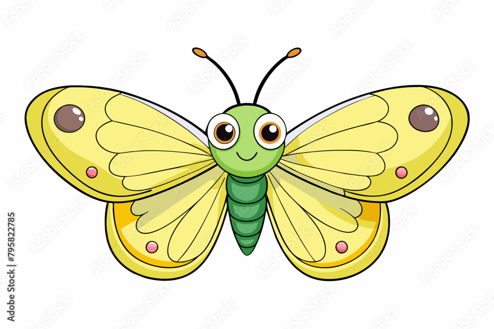 clouded sulphur butterfly cartoon vector illustration clouded sulphur butterfly cartoon vector illustration