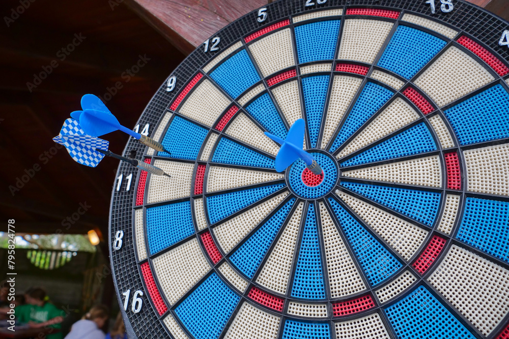 Obraz premium Dart's