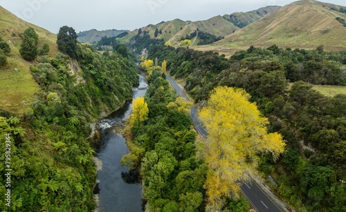 The Mangawhero River and rural road in the countryside. The trees are autumn yellow. Kakatahi, Whanganui, Manawatū-Whanganui, New Zealand. photo