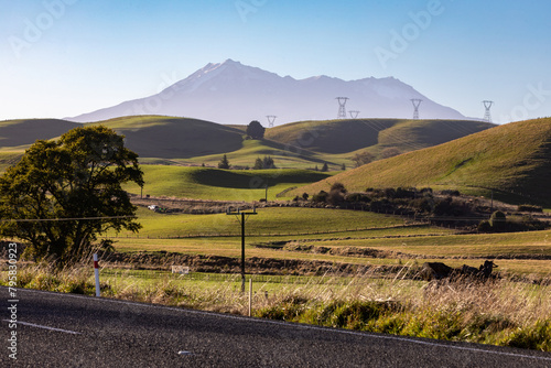 Farmland an a view of Mt Ruapehu in the distance, Taihape, Manawatū-Whanganui, New Zealand. photo